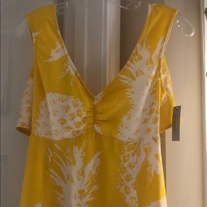 NWT 🍍 Anthropologie Pineapple Midi Dress 2P